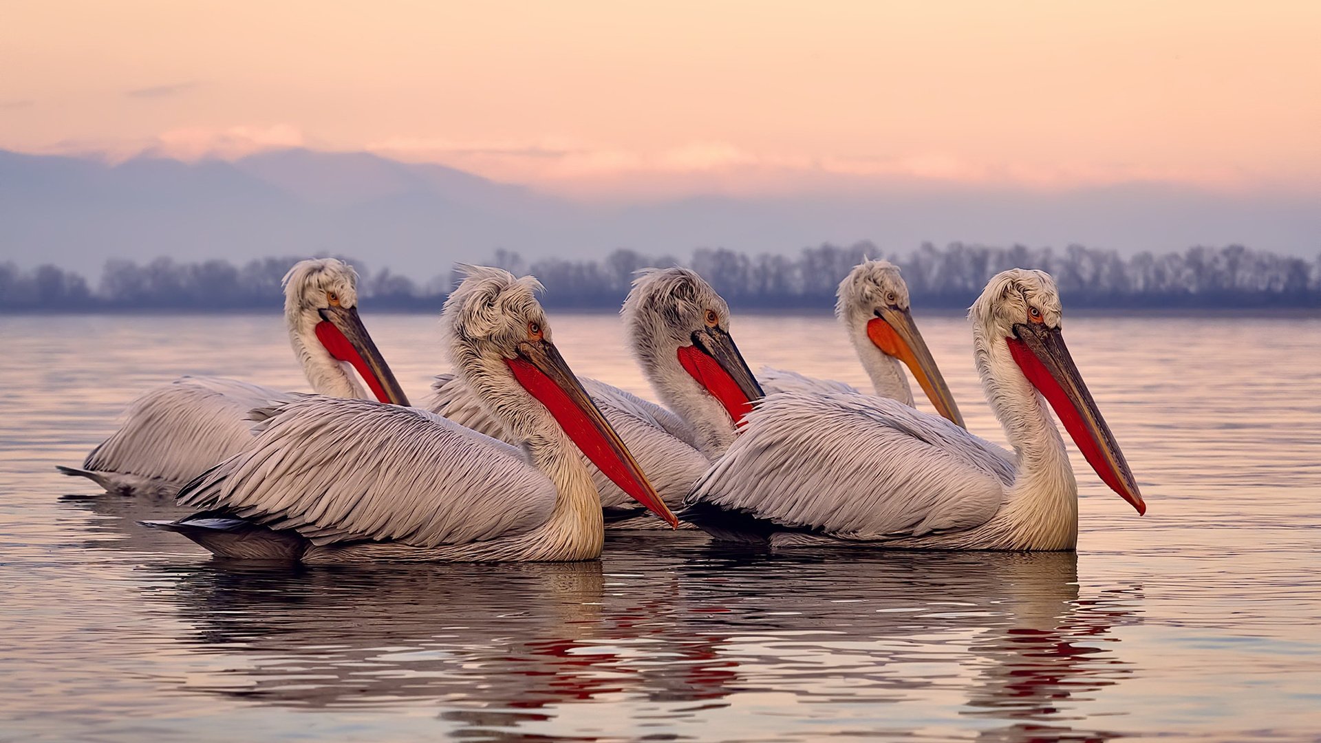 爱游戏登录-NBA首次发布官方表情包系列，球员Q版形象受热捧，nba表情包 经典